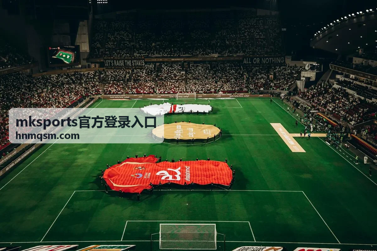 mksports官方登录入口登录前的网络与设备检查示意