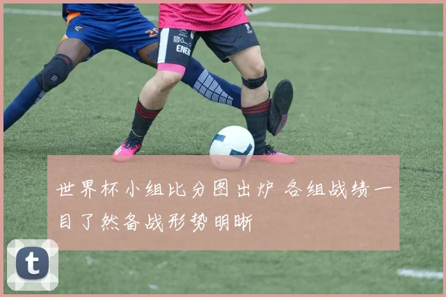 世界杯小组比分图出炉 各组战绩一目了然备战形势明晰