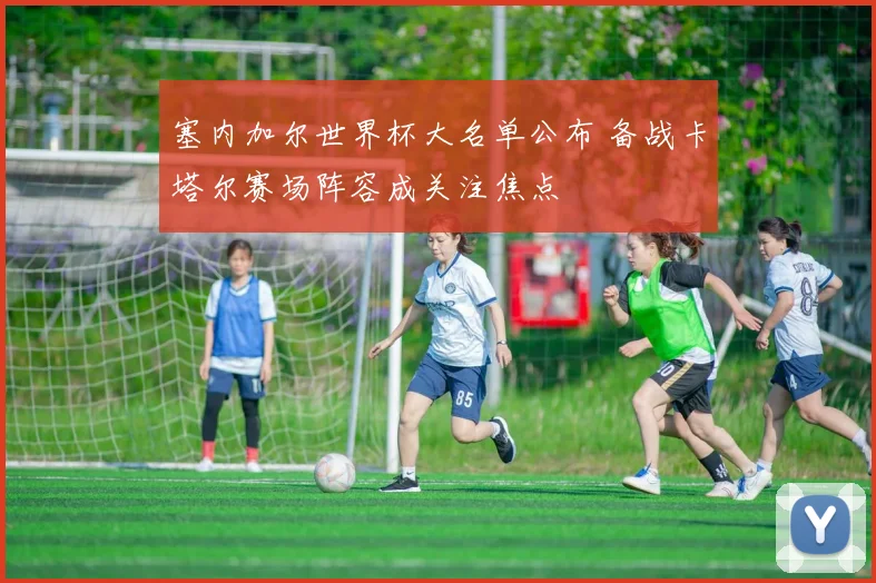 塞内加尔世界杯大名单公布 备战卡塔尔赛场阵容成关注焦点