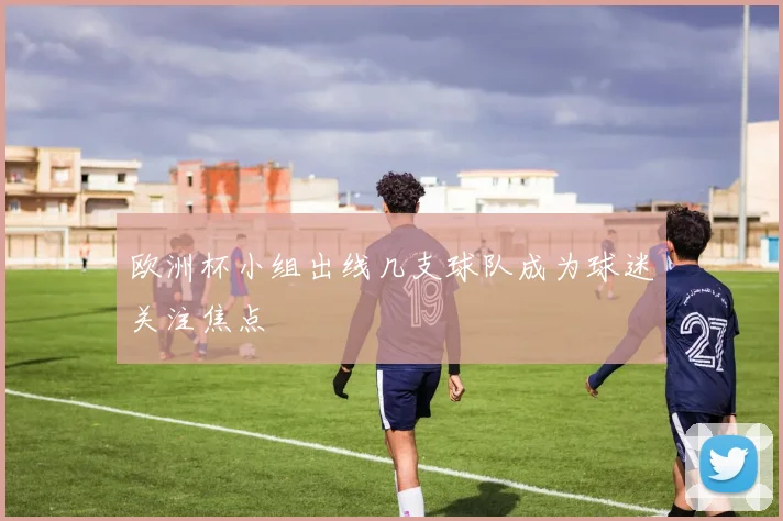 欧洲杯小组出线几支球队成为球迷关注焦点