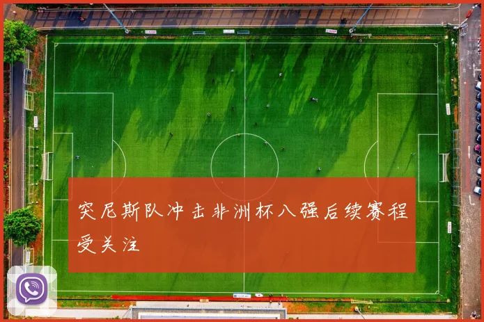 突尼斯队冲击非洲杯八强后续赛程受关注