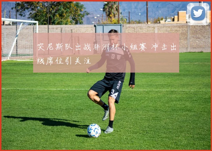 突尼斯队出战非洲杯小组赛 冲击出线席位引关注