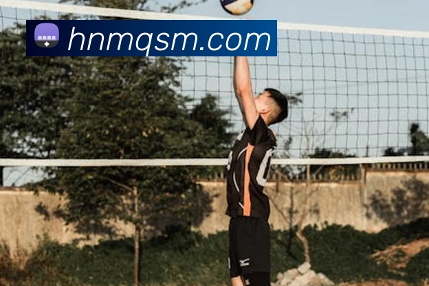 hth华体官网登录入口平台生态图